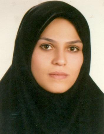 وکیل مریم عنبر