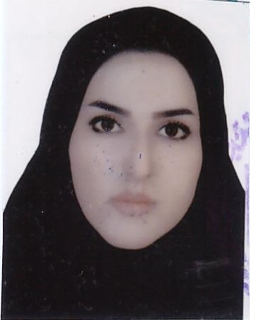 وکیل مریم لیریایی