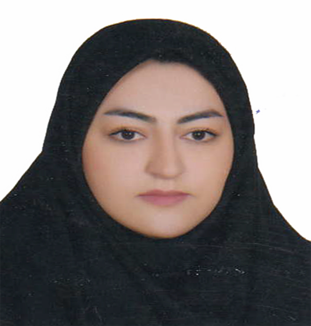 وکیل مریم محمدی
