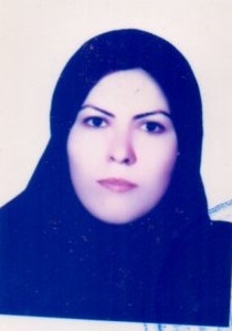 وکیل مریم‌ محمودی‌چلان