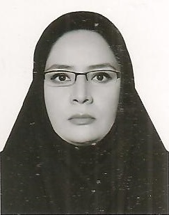 وکیل مریم والی زاده