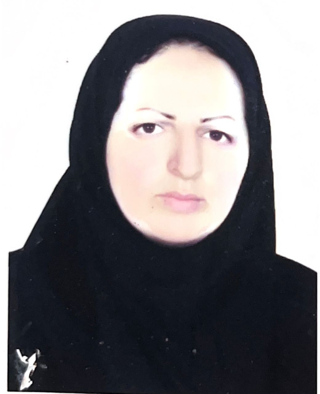 وکیل مریم کثیرکلمرز