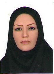 وکیل مریم کرمی راد