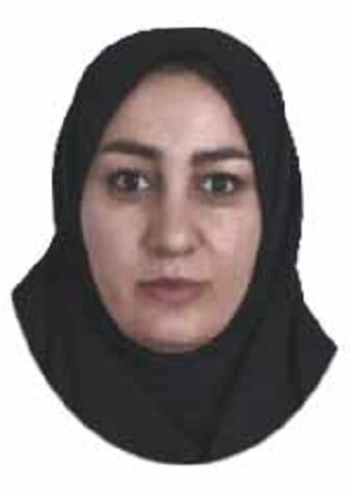 وکیل مریم گرزین