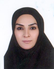 وکیل مشکات صفری
