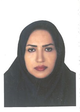 وکیل معصومه حمیدی