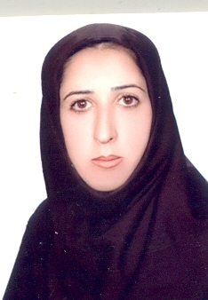 وکیل معصومه محمودی