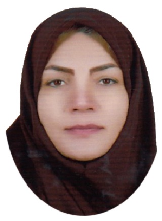 وکیل منصوره بگجانی