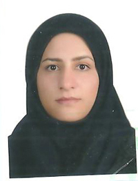 وکیل منصوره حاتمی
