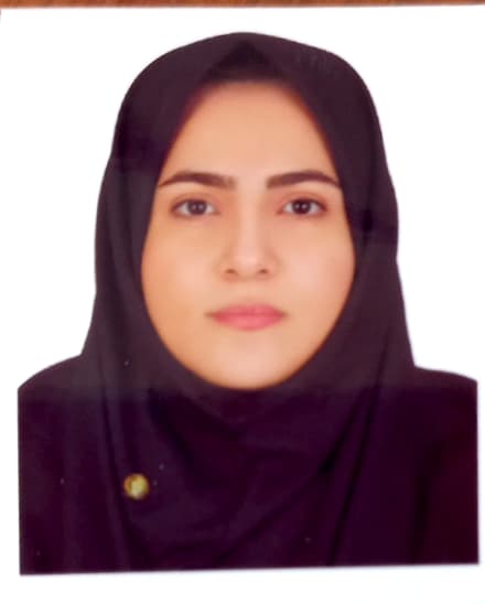 وکیل مهدیه الزاملی