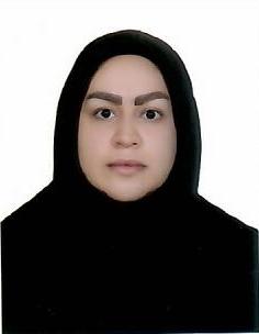 وکیل مهدیه حائری نژاد