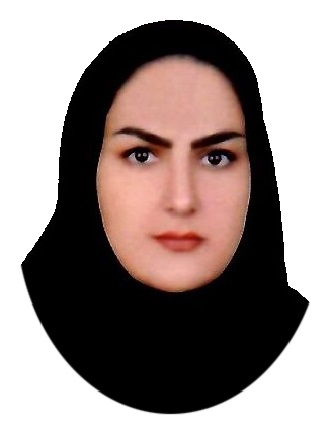 وکیل مهدیه دزگی