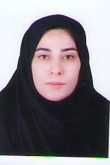وکیل مهر انگیز دهقان پور