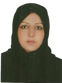 وکیل مهری روختی