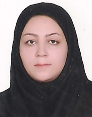 وکیل مهری عزیزی