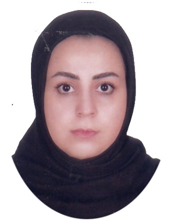 وکیل مهسا آویس
