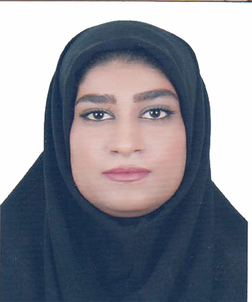 وکیل مهلا امیر شجاعی