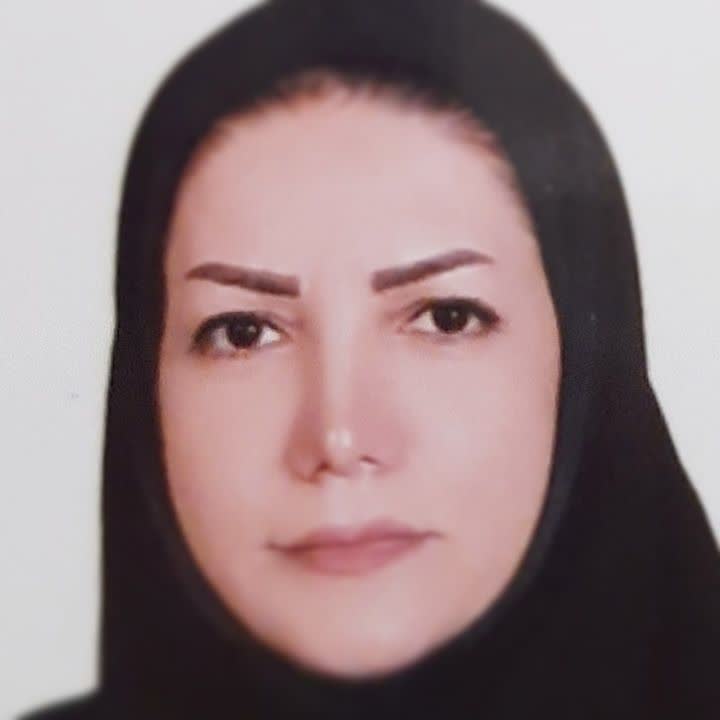 وکیل مهین علی محمدی