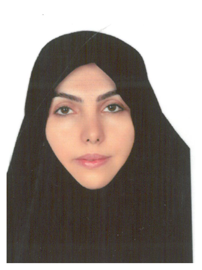 وکیل مژگان واسعی