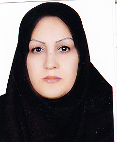 وکیل میترا حسینی