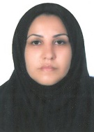 وکیل میترا عرب کرمانی