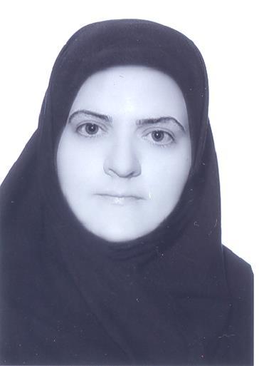 وکیل مینا امیرزاده