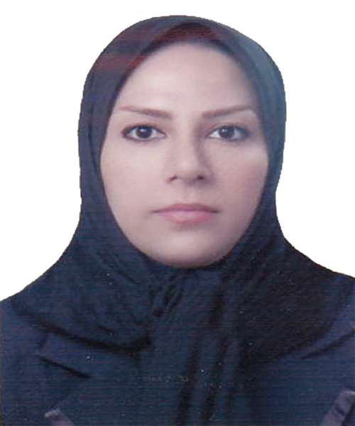 وکیل مینا درست کار
