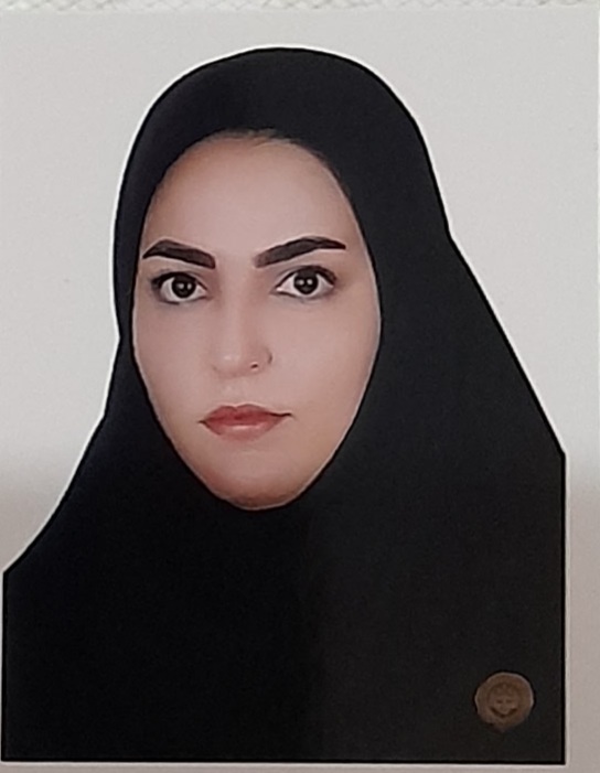 وکیل مینا رضائی