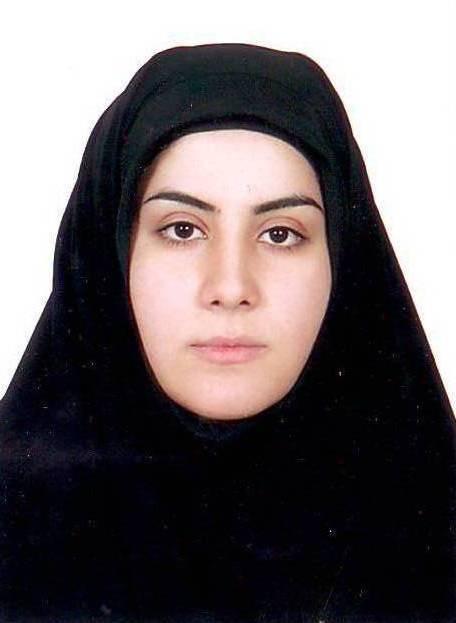 وکیل مینا سیفی