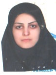 وکیل مینا عزیزی