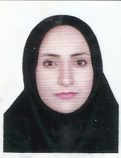 وکیل نازیلا گمرک چی