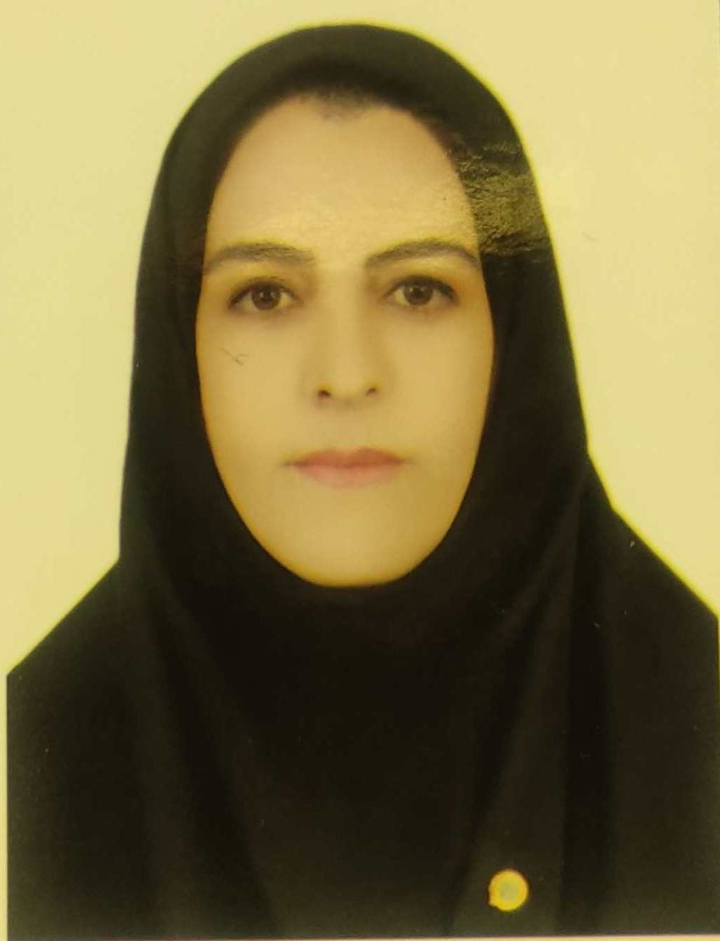 وکیل نجمه داوری