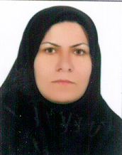 وکیل نرگس احمدی