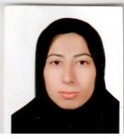 وکیل نرگس برنتی