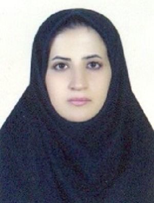 وکیل نسرین کرکچی