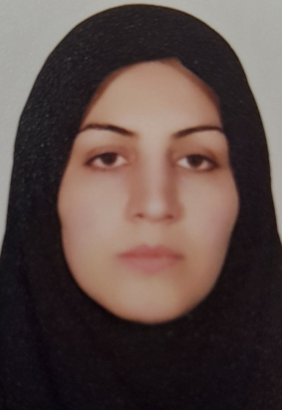 وکیل نصرت محمدی قلعه سفیدی