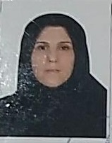 وکیل نیر مدرس خیابانی