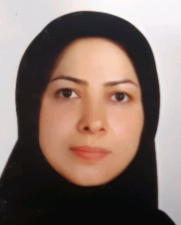 وکیل نیره نوروزی