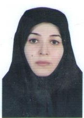 وکیل هاجر پناهی ینگجه