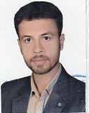 وکیل هادی بری