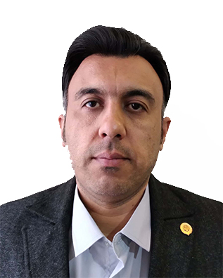 وکیل هادی محمدی