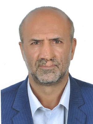 وکیل هادی نجفی