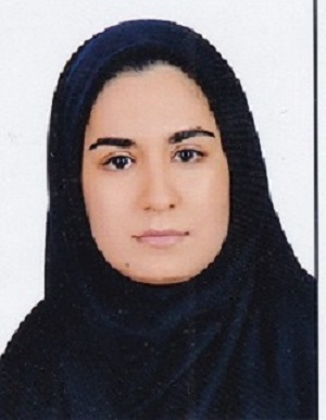 وکیل هدا ابوالفضلی