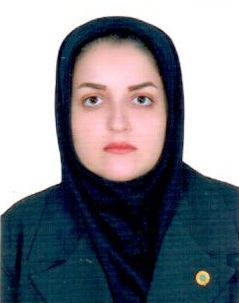 وکیل هدا حیدری