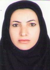 وکیل هما مقصودی