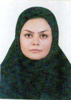 وکیل هما میرحسینی
