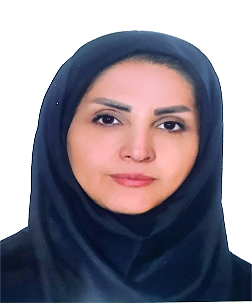 وکیل هنگامه رشوندهرانکی