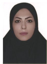 وکیل وحیده باقری