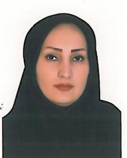 وکیل وحیده سعیدی