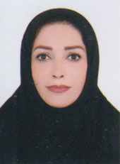 وکیل وسیم سلیمانی